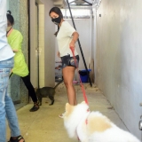 Malaika Arora Spotted Pet Clinic