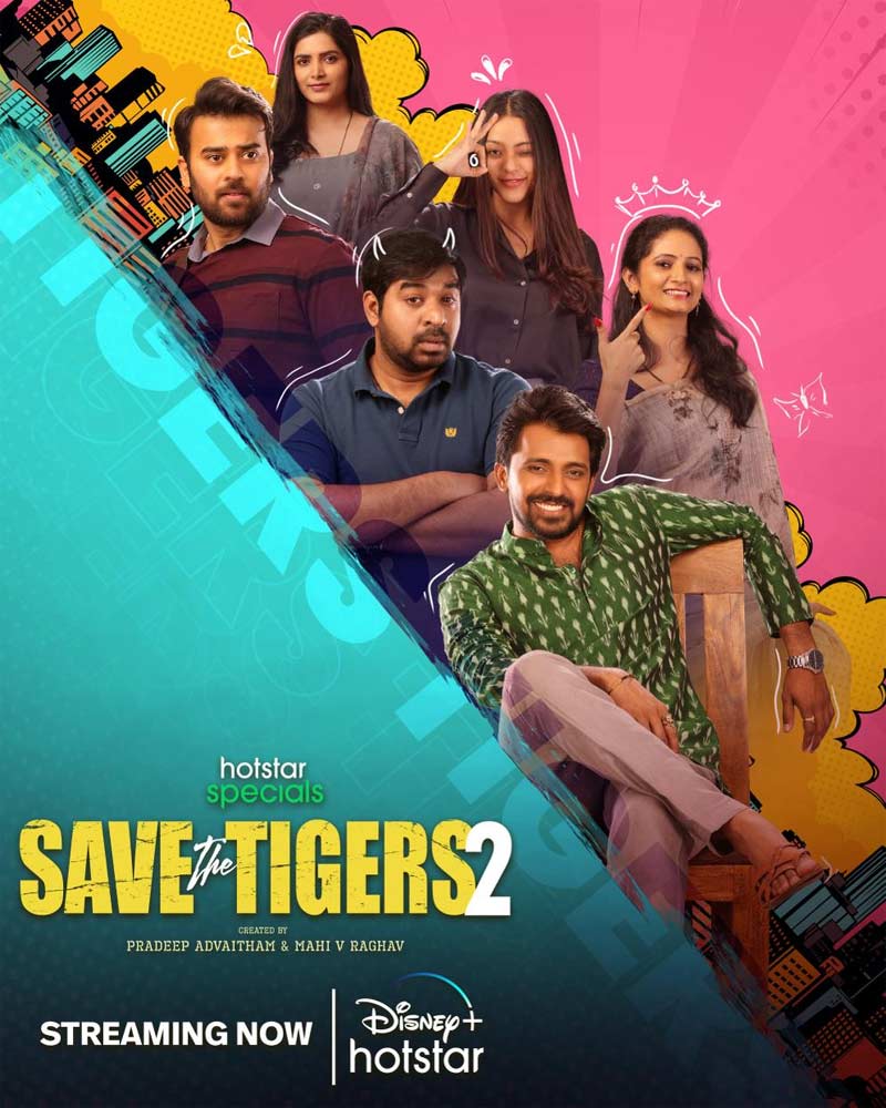 Save The Tigers 2 Review